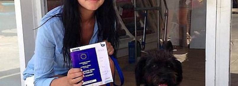 Mulher viaja milhares de quilmetros para adotar cachorra que salvou sua vida