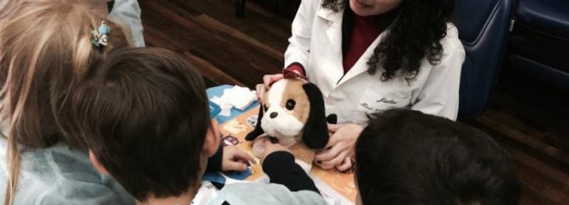 Mini Hospital Veterinrio da UFPR ensina guarda responsvel de animais em escolas de Curitiba