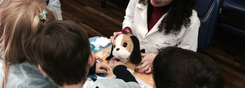 Mini Hospital Veterinário da UFPR ensina guarda responsável de animais em escolas de Curitiba
