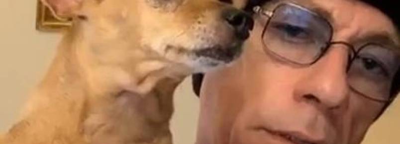 Van Damme salva cachorro condenado à morte por uso de passaporte falso