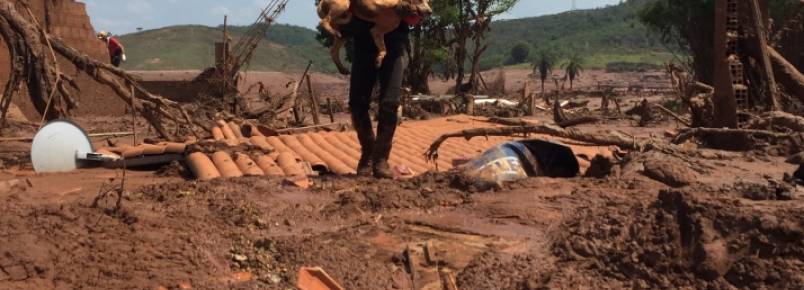 Samarco ter 45 dias para resgatar animais atingidos por lama