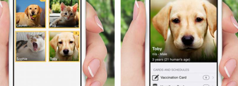 Apps ajudam donos a cuidarem e educarem seus cães