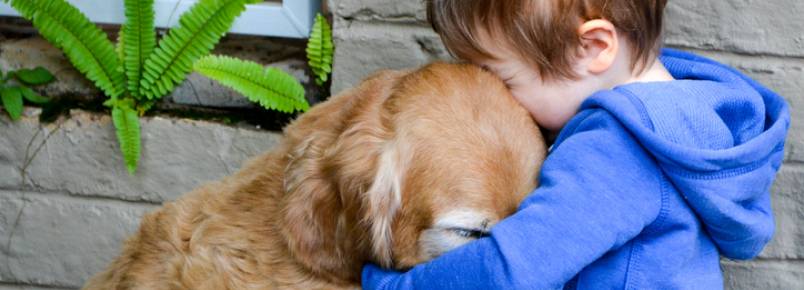 Pessoas com pets desenvolvem mais empatia e têm mais felicidade, diz estudo