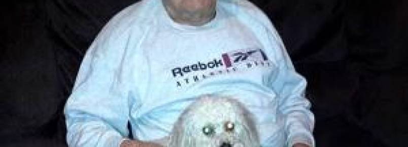 Cão desaparecido reconhece a voz de sua tutora em reportagem sobre a procura pelo animal