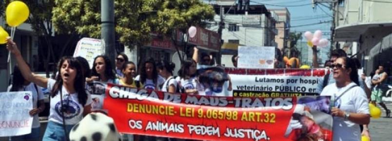Passeata contra os maus-tratos é realizada no Centro