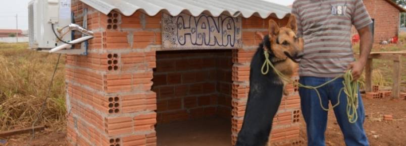 Guaraiense instala ar-condicionado na casinha de sua cadela