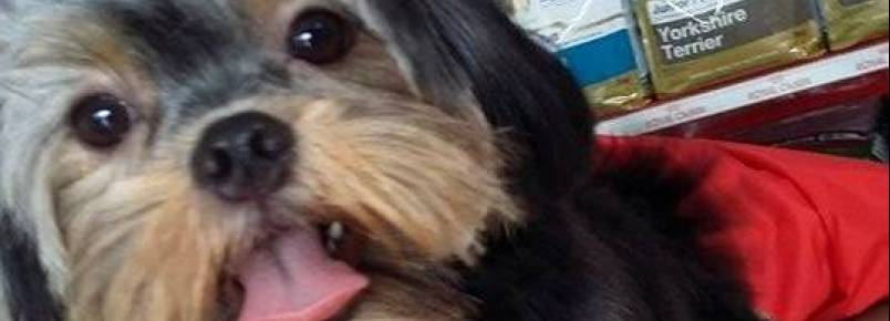 Theo também visitou a Clinvet esta semana