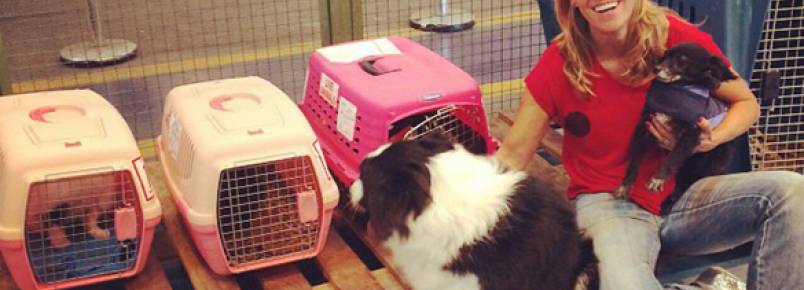 Famíla muda do Brasil e leva junto os 12 animais de estimação