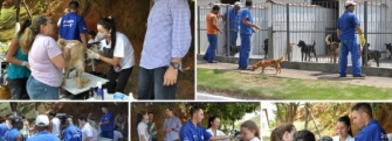Ação voluntária reúne protetores de animais e funcionários do Demlurb no Canil Municipal