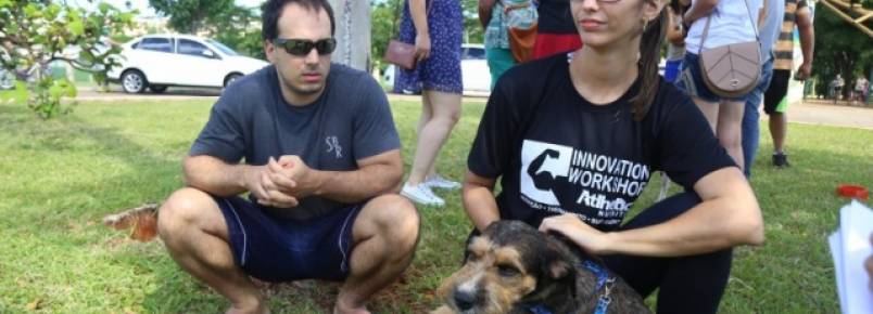 Em feira de adoção, animais de rua conquistam seus novos donos