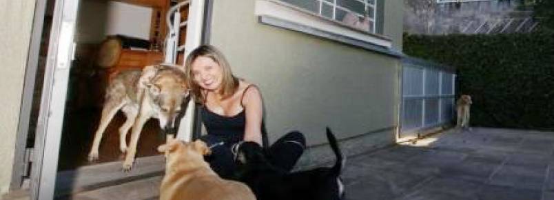 Casa abriga cães idosos e doentes em Porto Alegre