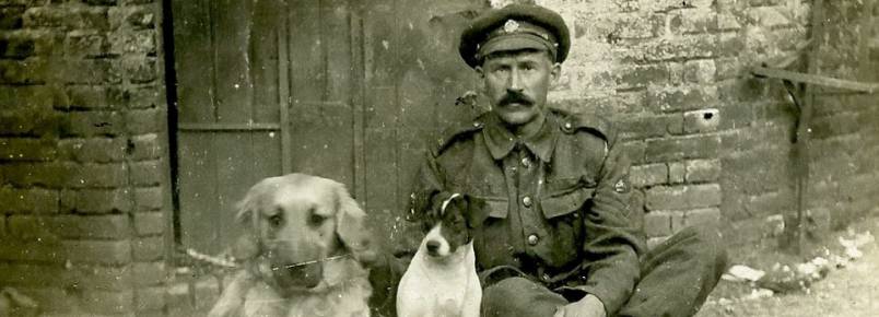 Fotos inéditas mostram soldados posando com seus cães na Primeira Guerra Mundial