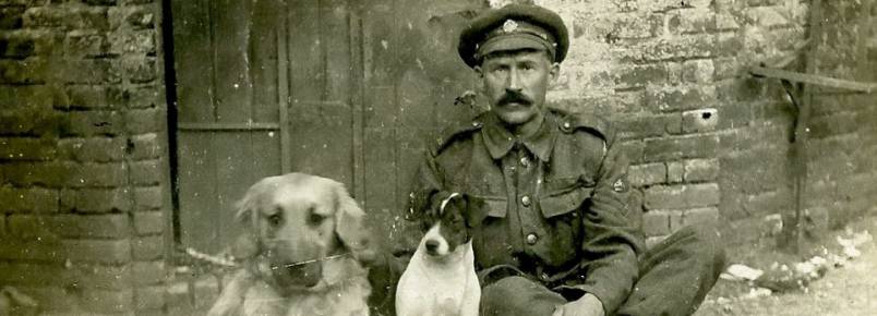 Fotos inditas mostram soldados posando com seus ces na Primeira Guerra Mundial