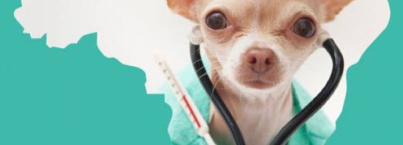 Banco de dados reúne Hospitais e Clínicas Veterinárias de baixo custo no Brasil 