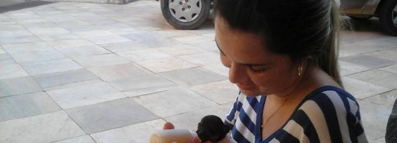 Dra. Marcela alimenta filhotinho que mãe não produz leite