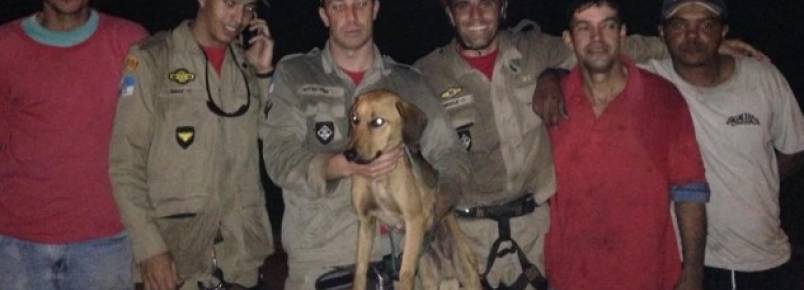 Bombeiros resgatam cachorro que estava preso h dias numa pedreira