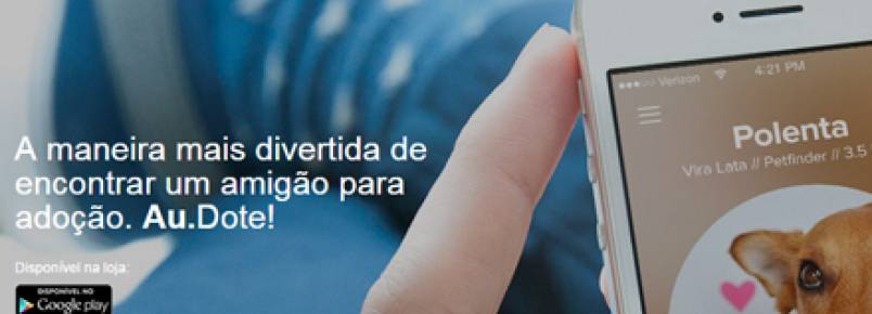 Aplicativo ajuda cães abandonados a encontrarem um lar 
