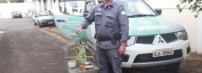 Polícia Ambiental recebe três aves silvestres voluntariamente de pessoas