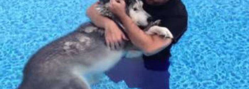 Cachorro idoso faz sessões de hidroterapia junto com seu tutor para lutar contra a dor