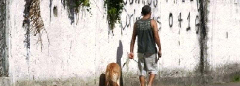 Nova lei em Santos ir multar quem no limpar a sujeira de animais