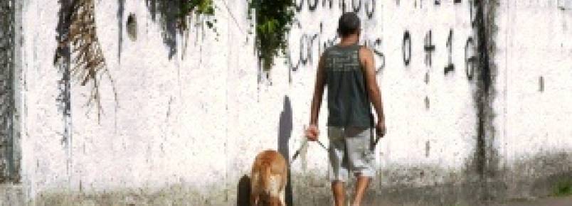 Nova lei em Santos irá multar quem não limpar a sujeira de animais