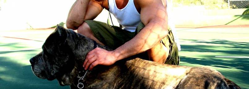 Vin Diesel passa aniversário com seu cachorro