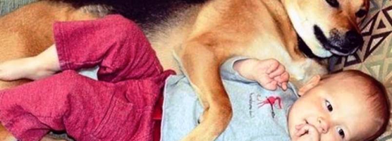 Amizade de bebê com cachorro emociona e vira o novo hit das redes sociais