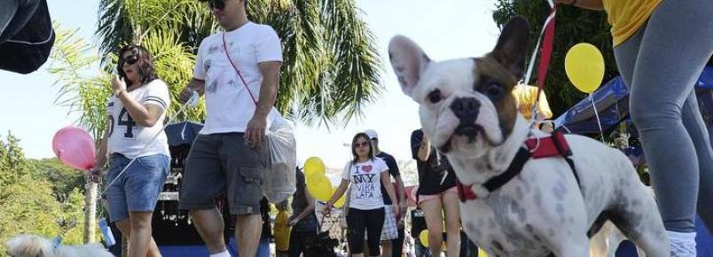 Cãominhada reúne mais de 500 participantes