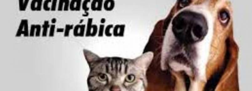 Campanha de vacinação antirrábica será realizada neste sábado