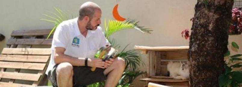 Concurso desafia moradores a construírem casas para os animais de rua