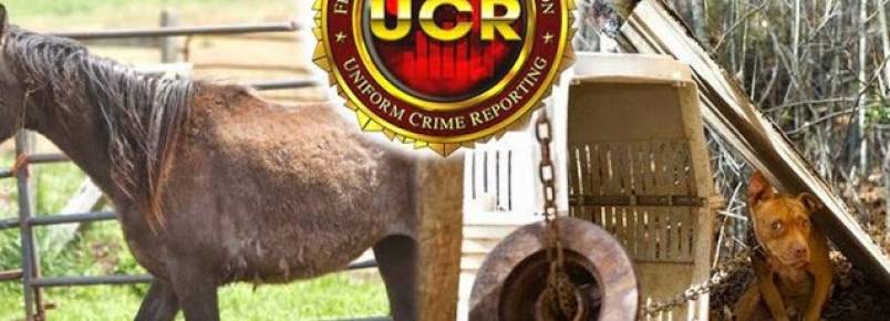FBI Cria Categoria Especial Casos Crueldade Contra os Animais