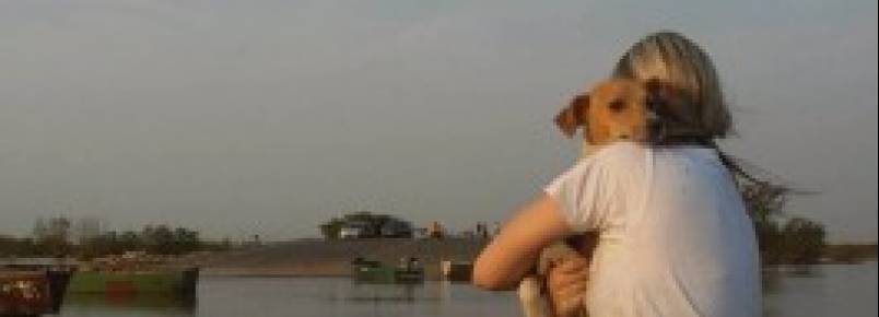 Voluntários resgatam animais no Paquetá
