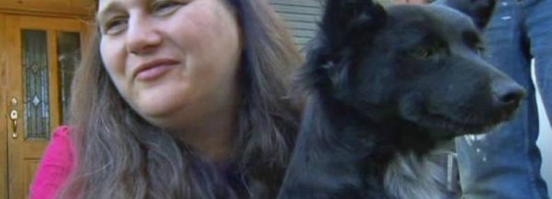 Garota de 2 anos ‘foge’ de casa e é protegida por sua cachorra