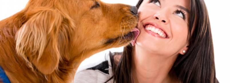 Porque os cães lambem as pessoas?