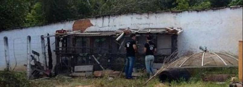 Ong denuncia desaparecimento de animais recolhidos pela prefeitura em Rio de Contas