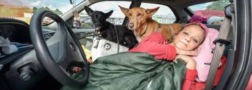 Mulher escolhe viver em carro a abandonar seus cachorros