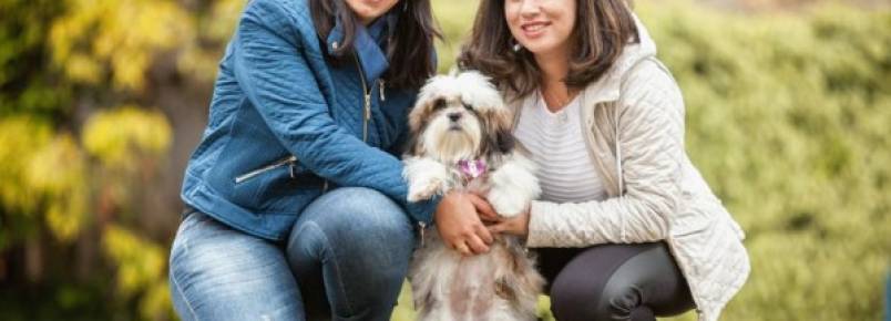 Células-tronco viram aliadas no tratamento de doenças em pets