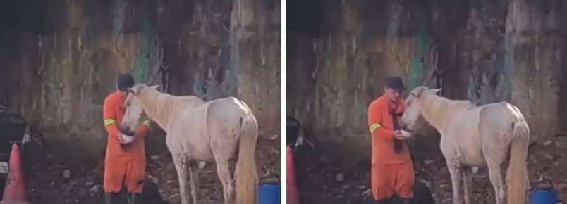 Gari interrompe trabalho para dar água para cavalo que passava mal no meio da rua