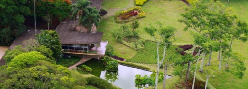 São José quer evitar abandono de animais no Parque da Cidade