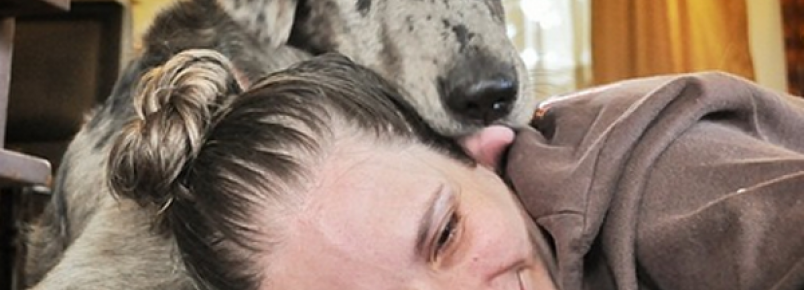 5 razões pelas quais os cachorros são ótimos para a saúde humana