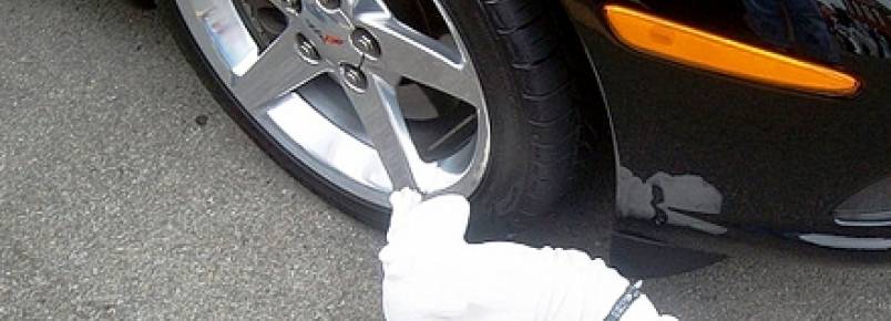 Xixi de cachorro pode corroer rodas de carros e portões