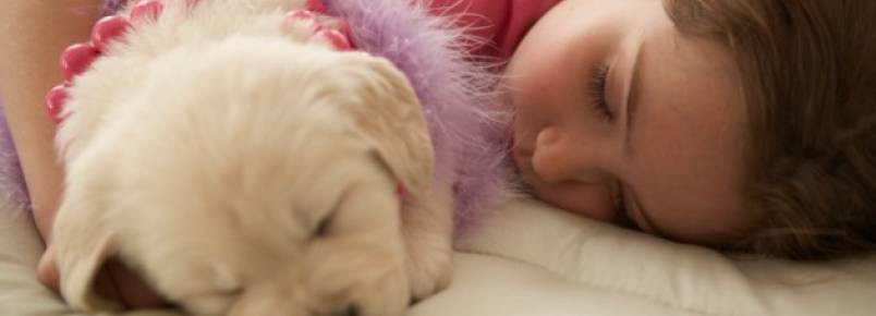 Faz mal dormir com animal de estimação na cama ?