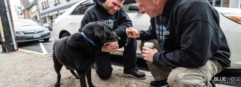 Após passar 15 anos acorrentado, cachorro visita a praia pela primeira vez