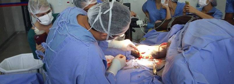 Alunos de Veterinria fazem cirurgia em gua em Matip
