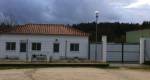 Petição contra abates no canil municipal de Rio Maior
