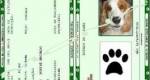 Projeto prope o Registro Geral de animais domsticos em Joo Pessoa