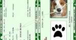 Projeto propõe o Registro Geral de animais domésticos em João Pessoa