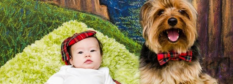 Mãe fotógrafa cria mundo especial de sua filha e o cachorro com ambiente ilustrado em quadro