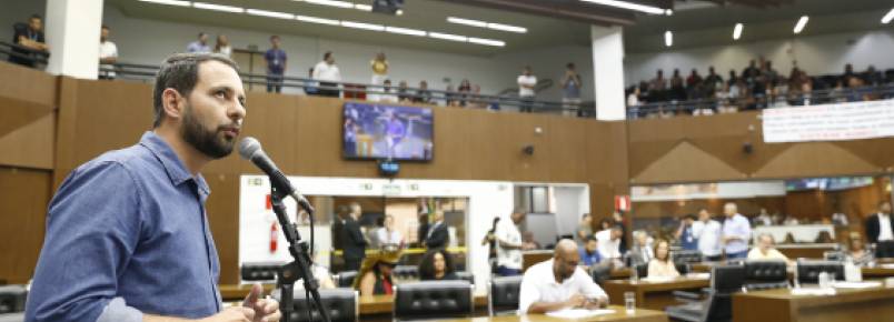 Aprovado em definitivo PL sobre socorro obrigatório a animais atropelados