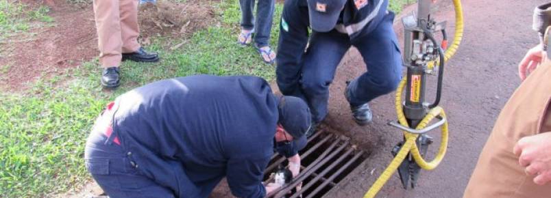 Defesa Civil e Polícia Militar resgatam gato preso em bueiro
